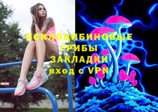 спиды Верея