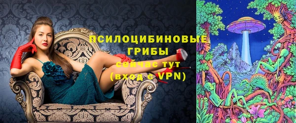 спиды Верея