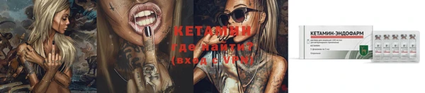 спиды Верея
