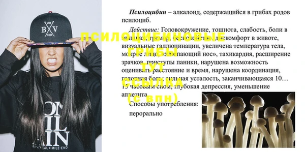 спиды Верея
